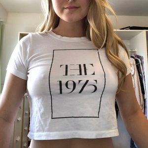 The 1975 Crop Top